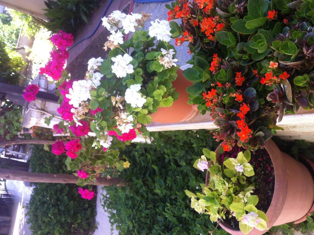Besik Hotel Fethiye Exterior foto